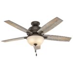 Hunter Fan Company 53333 Donegan Onyx Bengal Ceiling Fan with Light